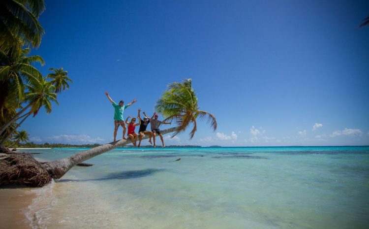  The Wizard’s Eye is now out!